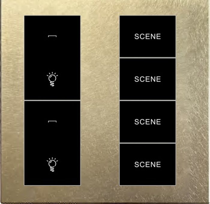 2 gang + 4 scene